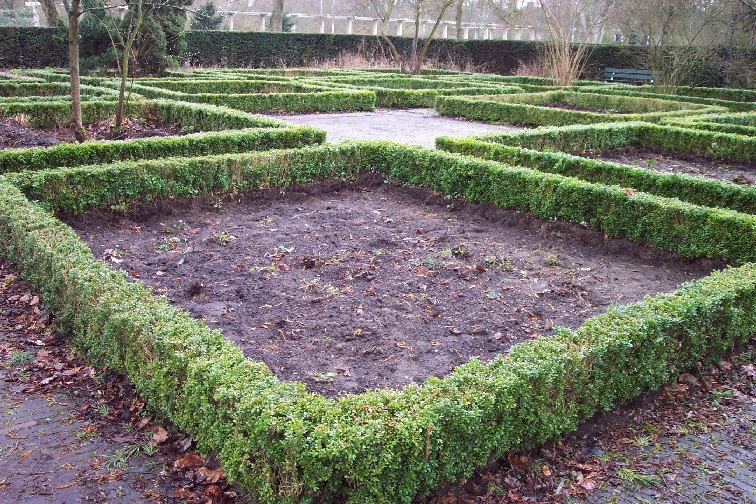 klaar voor nieuwe beplanting