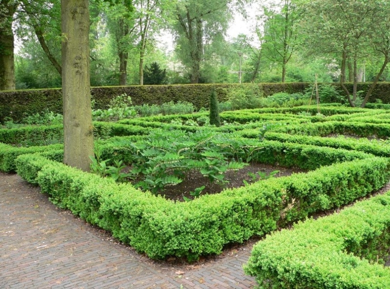 overzicht van de vakken