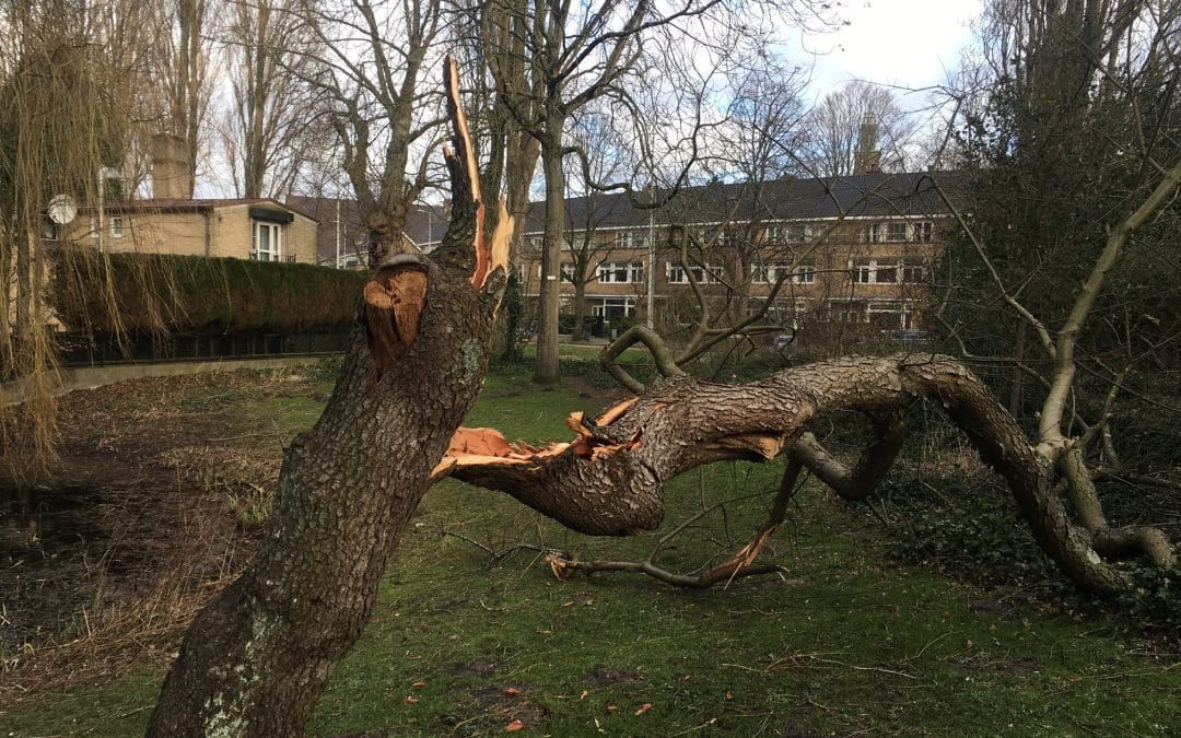 Storm Eunice, 18th February 2022
